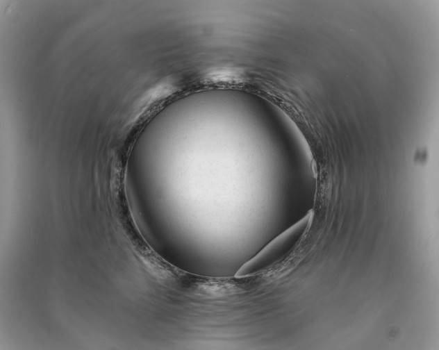 X0000090930712200708131454