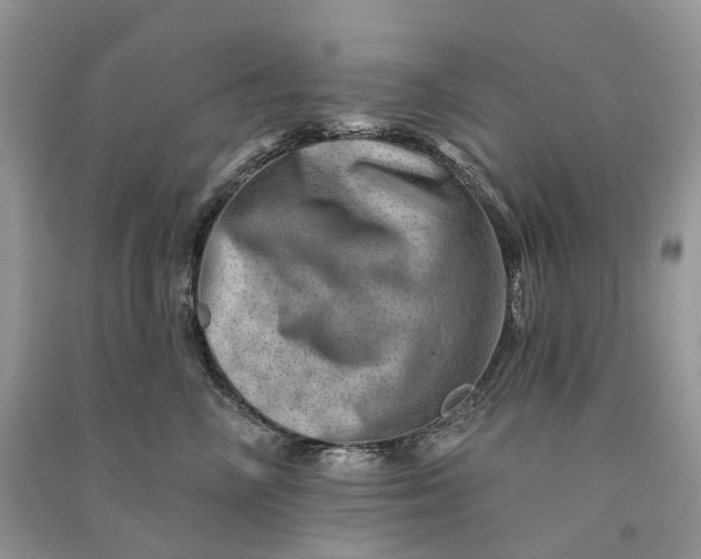 X0000090930714200708131454