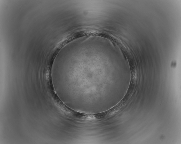 X0000090930715200708131454