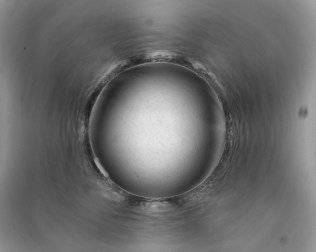 X0000090930716200708131454