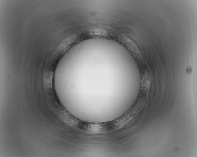 X0000090930717200708131454