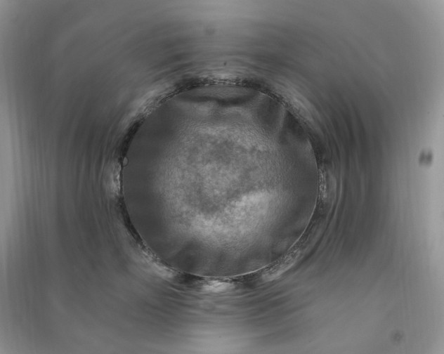 X0000090930718200708131454