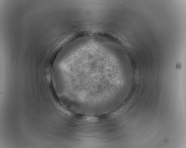 X0000090930719200708131454