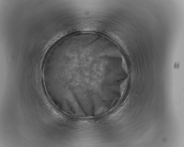 X0000090930721200708131453