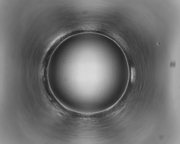 X0000090930723200708131453