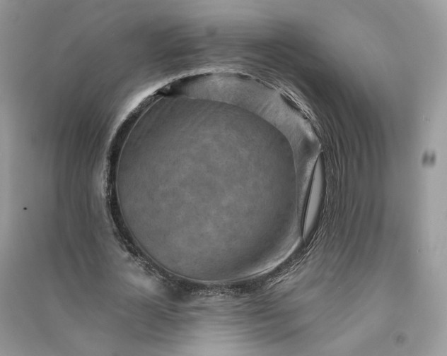 X0000090930724200708131453