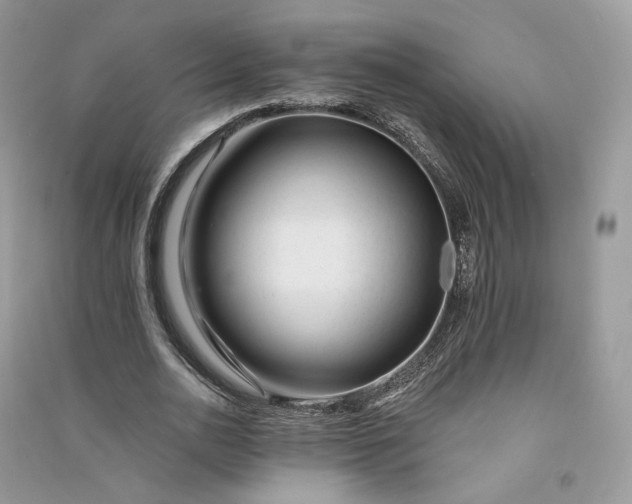 X0000090930726200708131453