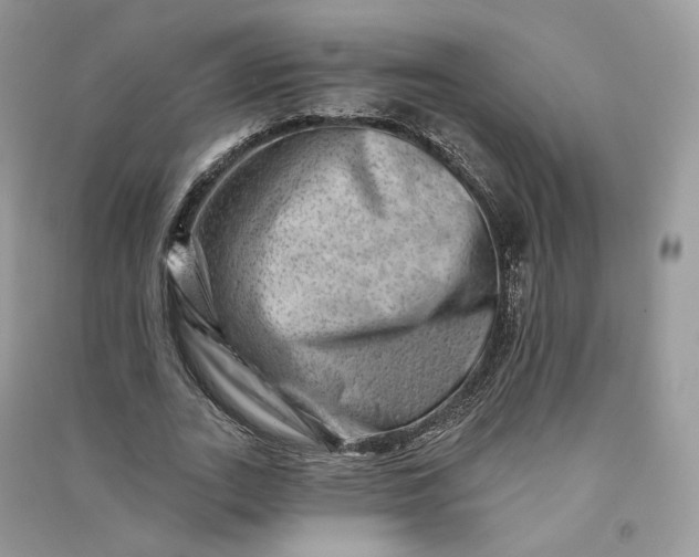 X0000090930727200708131453