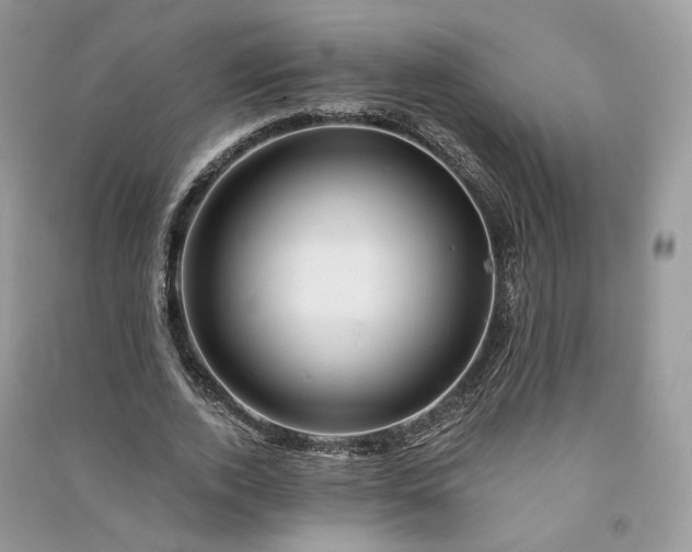 X0000090930728200708131453