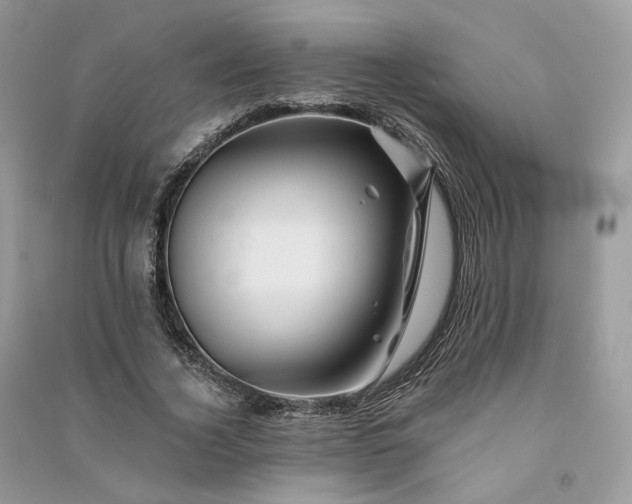 X0000090930732200708131453