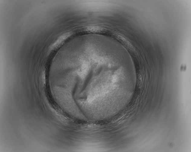 X0000090930734200708131453