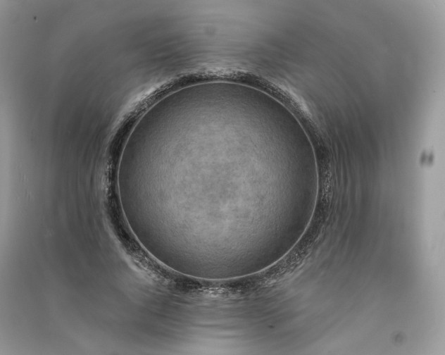 X0000090930736200708131453