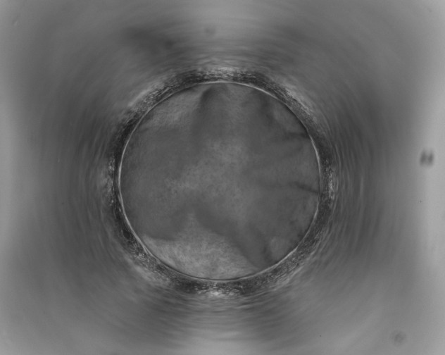 X0000090930737200708131453