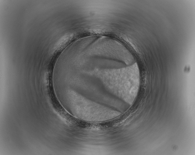 X0000090930738200708131453