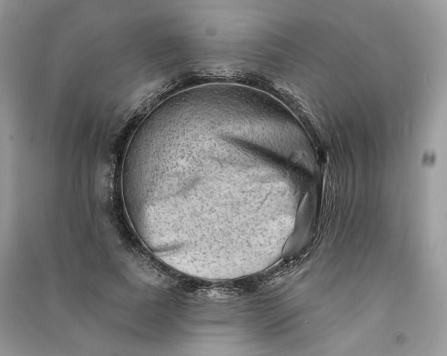 X0000090930739200708131453