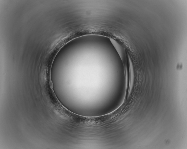 X0000090930740200708131453