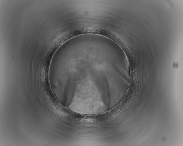 X0000090930741200708131453