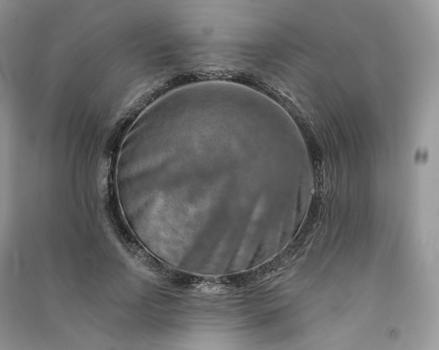 X0000090930742200708131453