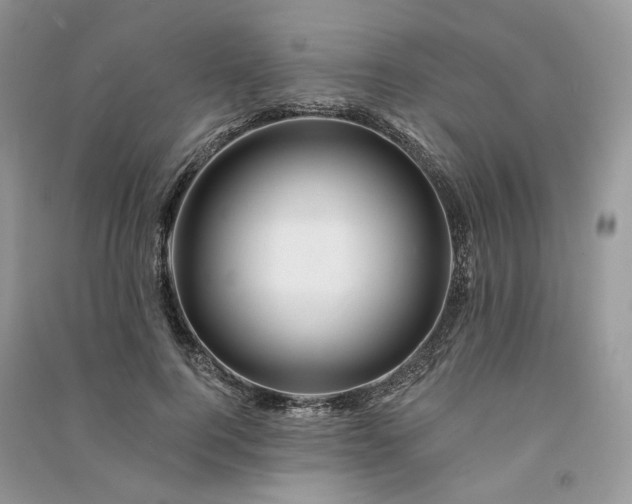 X0000090930744200708131453