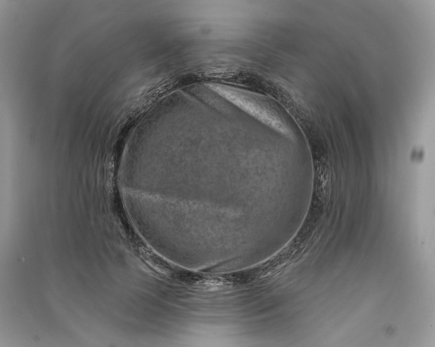 X0000090930745200708131453