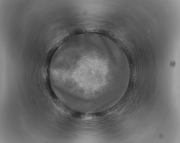 X0000090930746200708131453