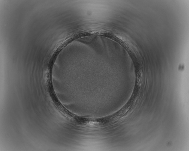 X0000090930748200708131453