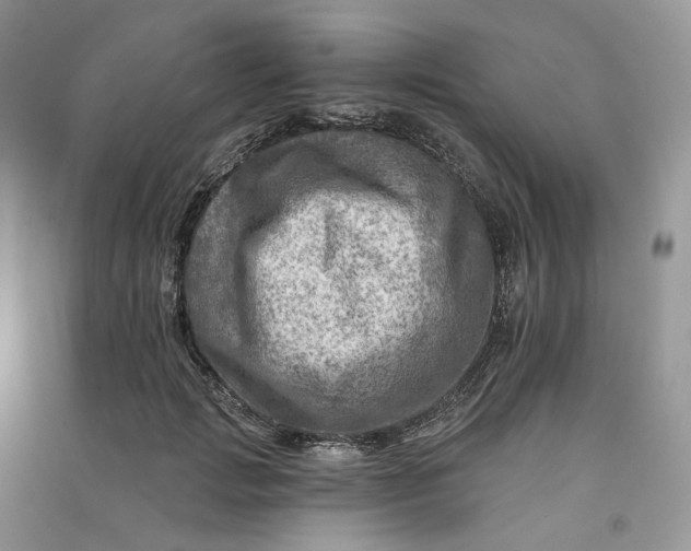 X0000090930749200708131453