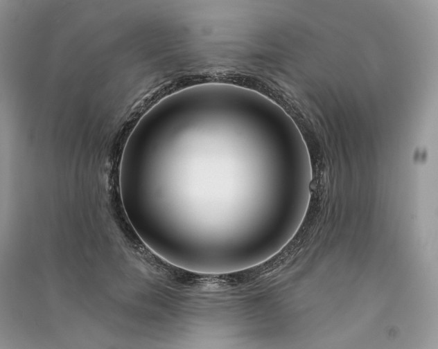 X0000090930750200708131453