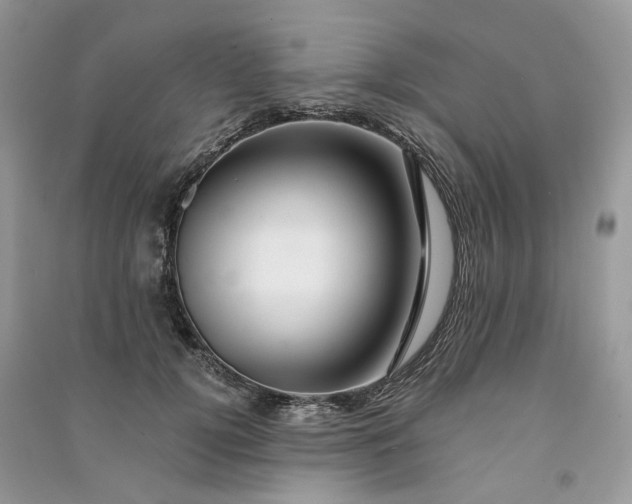 X0000090930752200708131453