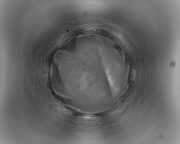 X0000090930753200708131453