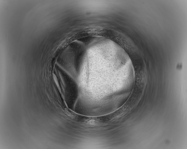 X0000090930755200708131453