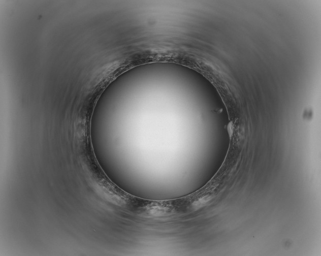 X0000090930756200708131453