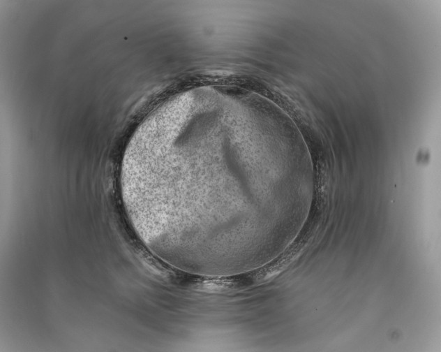 X0000090930758200708131453