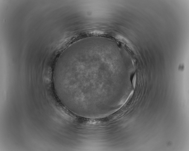 X0000090930760200708131453