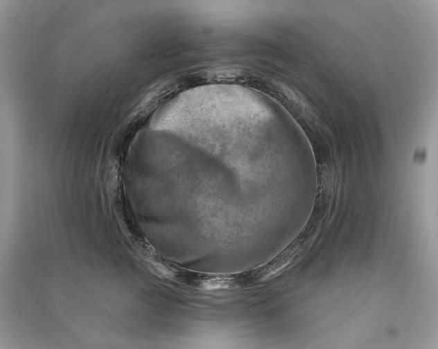 X0000090930761200708131453