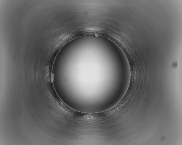 X0000090930764200708131454