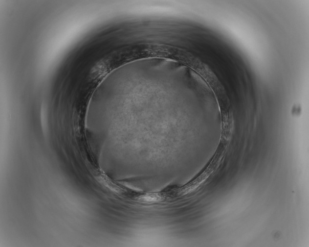 X0000090930765200708131454