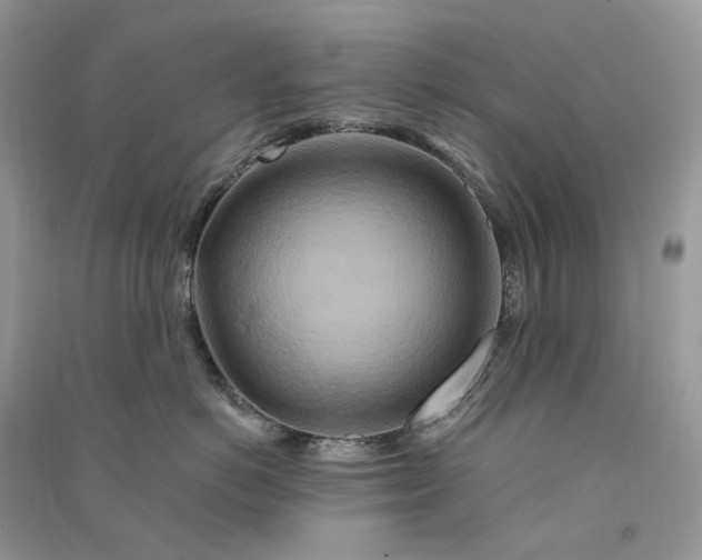 X0000090930766200708131454