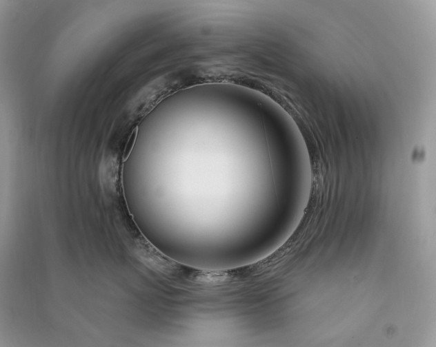 X0000090930767200708131454