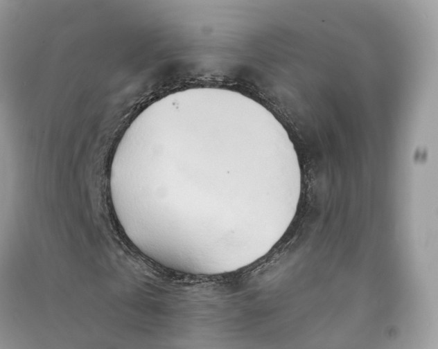 X0000090930769200708131453