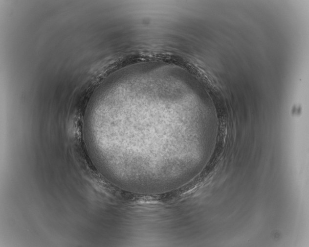 X0000090930770200708131453