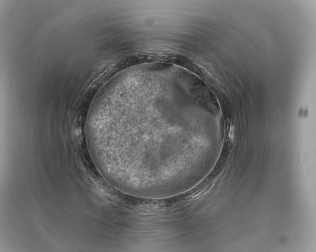 X0000090930771200708131453