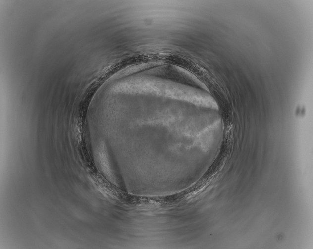 X0000090930772200708131453