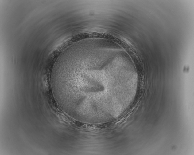 X0000090930774200708131453