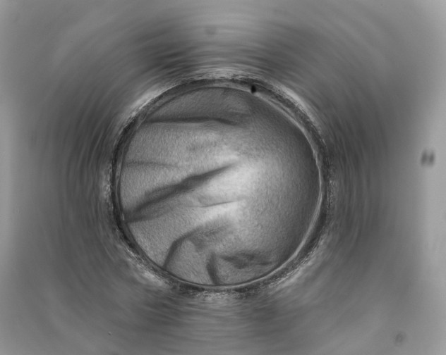 X0000090930778200708131453