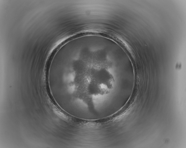 X0000090930779200708131453