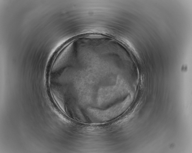 X0000090930780200708131453