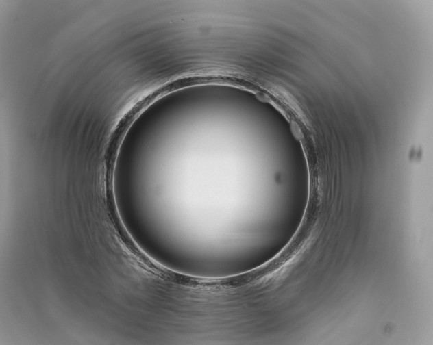 X0000090930781200708131453