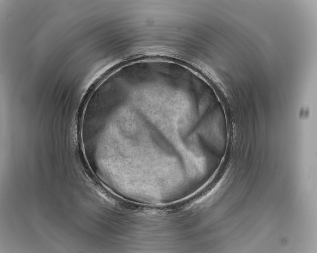 X0000090930782200708131453