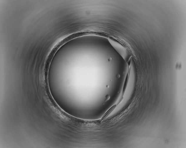 X0000090930784200708131453